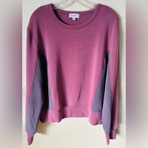 Evereve Long Sleeve Crew Neck Mauve & Gray Sweater Sweat Shirt Size: Large